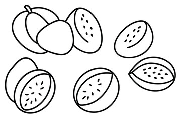 mamey sapote line art minimalist fruit drawing art