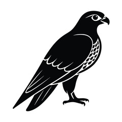 Falcon Silhouette Vector | Black and White Falcon Bird Illustration Design