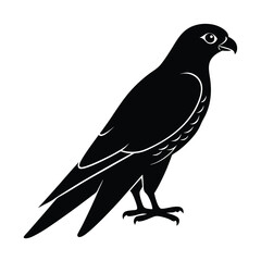 Falcon Silhouette Vector | Black and White Falcon Bird Illustration Design