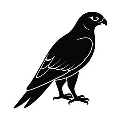 Falcon Silhouette Vector | Black and White Falcon Bird Illustration Design
