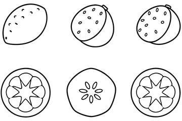 mamey sapote line art unique fruit design drawing