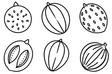  mamoncillo line art sketch minimalistic tropical fruit illustration