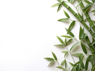 Fototapeta premium Realistic Craft Projects Featuring Bamboo with a Clean and Minimalist Background for Photography and Design Use