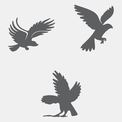 eagle vector illustration