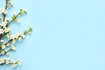 white flowers on a blue background