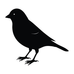 Greenfinch Silhouette Vector | Black and White Greenfinch Bird Illustration Design