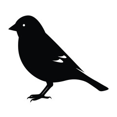 Greenfinch Silhouette Vector | Black and White Greenfinch Bird Illustration Design