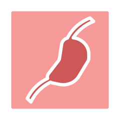 Stomach Illustration with Pink Square Background