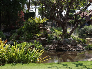 A Beautiful and Serene Garden Landscape Featuring Lush Vegetation and a Tranquil Water Feature