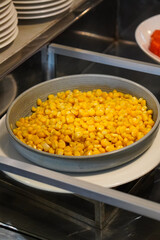 Indonesian salad, captured on April 8, 2025. A fresh mix of vegetables and traditional ingredients, served with rich peanut sauce for a flavorful and healthy dish