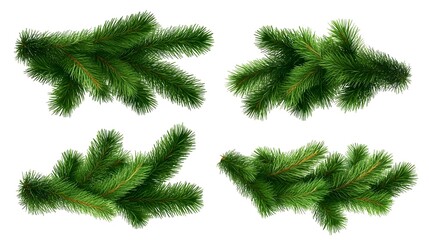 Green Pine Branches with Needles for Natural and Floral Designs