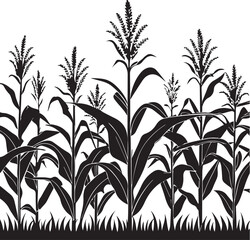 corns field vector design style illustrator
