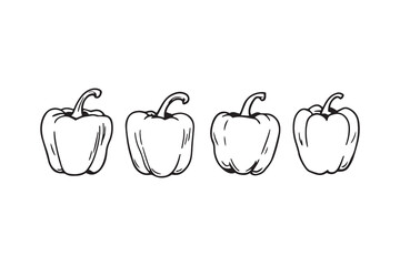 Bell Pepper line art illustration