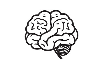 Brain line art illustration