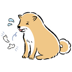 シニア犬の歯が抜けるイラスト