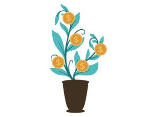 Money Plant Flower Background Illustration
