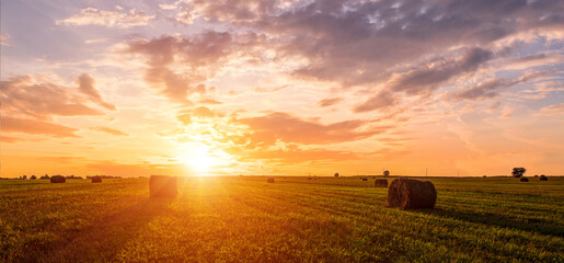 Golden sunset rolling field with hay bales. Panoramic farm landscape for agriculture and harvest season. Scenic countryside background. Rural nature concept. © Eugene_Photo