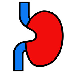 Abstract Illustration of a Kidney