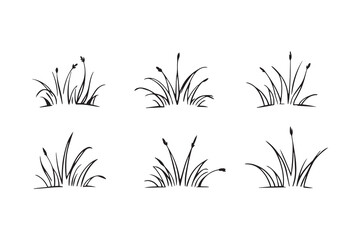 Grass line art illustration