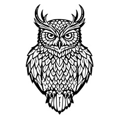 owl on a white background