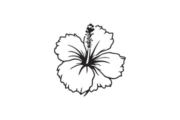 Hibiscus Flower line art illustration 