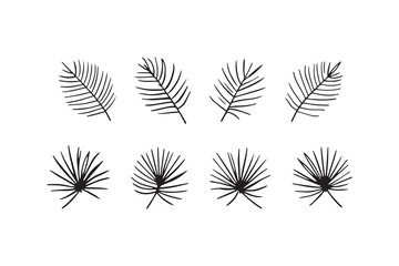 Palm Leaf line art illustration