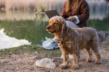 Woman enjoys peaceful moment by the water with her cocker spaniel on a sunny day