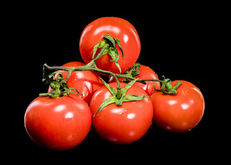 Fresh Tomatoes on the Vine with Black Background