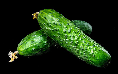Fresh Cucumbers with Dew Drops on Black Background