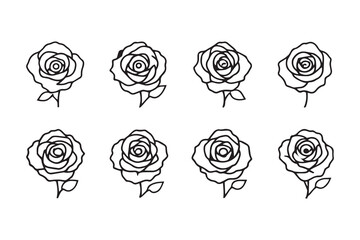 Rose line art illustration