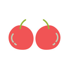 cherry fruit vector illustration