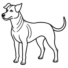 Minimalist line art illustration of a wild animal, perfect for modern decor, tattoo design, logos, or branding. This elegant black and white drawing features clean lines and abstract style, ideal for 