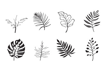 Tropical Leaves line art illustration
