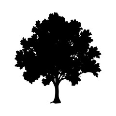 Fototapeta premium oak tree icon, oak tree silhouette vector illustration-simple silhouette illustration of oak tree, perfect for oak tree logos and icons