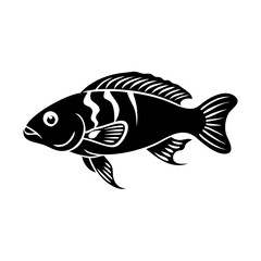 firemouth cichlid fish icon, firemouth cichlid fish silhouette vector illustration-simple silhouette illustration of firemouth cichlid fish, perfect for firemouth cichlid fish logos and icons