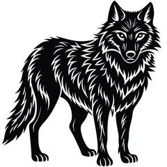Wild wolf head vector illustration, a black and white canine animal drawing
