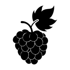 boysenberry icon, boysenberry silhouette vector illustration-simple silhouette illustration of boysenberry, perfect for boysenberry logos and icons