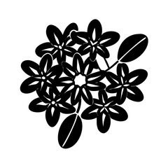 ixora flower icon, ixora flower silhouette vector illustration-simple silhouette illustration of ixora flower, perfect for ixora flower logos and icons