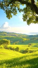 Fototapeta premium Sunny Tuscan hillside landscape.