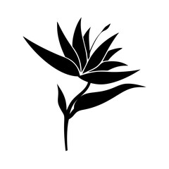 bird of paradise flower icon, bird of paradise flower silhouette vector illustration-simple silhouette illustration of bird of paradise flower, perfect for bird of paradise flower logos and icons