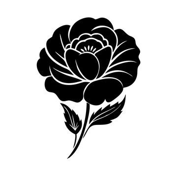 recommend clip art: ranunculus flower icon, ranunculus flower silhouette vector illustration-simple silhouette illustration of ranunculus flower, perfect for ranunculus flower logos and icons