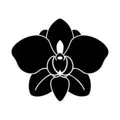 orchid flower icon, orchid flower silhouette vector illustration-simple silhouette illustration of orchid flower, perfect for orchid flower logos and icons