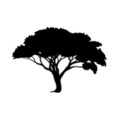 acacia tree icon, acacia tree silhouette vector illustration-simple silhouette illustration of acacia tree, perfect for acacia tree logos and icons