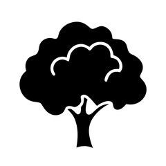 cottonwood tree icon, cottonwood tree silhouette vector illustration-simple silhouette illustration of cottonwood tree, perfect for cottonwood tree logos and icons