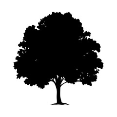 hickory tree icon, hickory tree silhouette vector illustration-simple silhouette illustration of hickory tree, perfect for hickory tree logos and icons