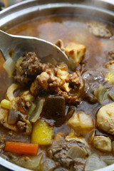 preparing a Japanese style currywith fresh meat, vegetables and curry roux; home cooking