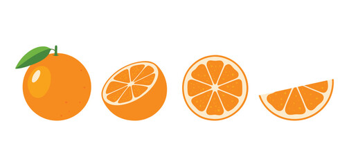 Fresh Orange Fruit Vector Illustration – Whole and Sliced Citrus Set