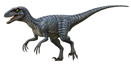 Striking velociraptor with realistic scales and sharp claws on white background