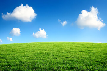 Fototapeta premium Green Field, Blue Sky, Cloudscape Bliss