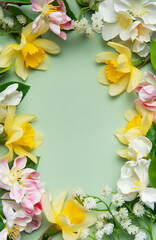 Daffodils and apple blossoms creating a floral frame on green background